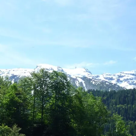 Sattelboden 4 By Interhome Apartment Engelberg