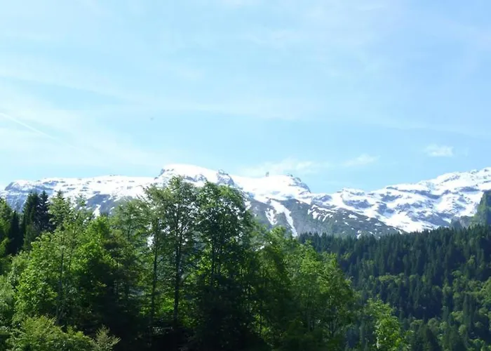 Sattelboden 4 By Interhome דירה אנגלברג